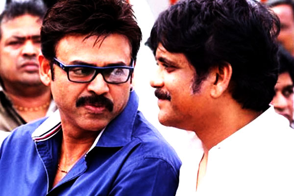 వెంకి,నాగ్ పోటీ…ఎవరికి దక్కుతుందో