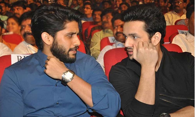 Akhil&Chaithanya:పోటీపడుతున్న చైతన్య,అఖిల్..  ఎవరి సినిమా హిట్ అవుతుందో..?