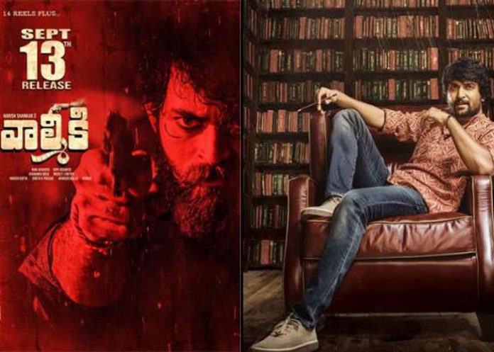 నానీ కోసం మెగా హీరో అంత‌ త్యాగ‌మా?