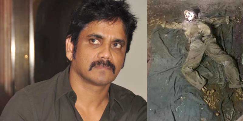 నాగ్ ఫామ్ హౌస్ లో కుళ్లిన శవం..ఎవరిదో తేలింది