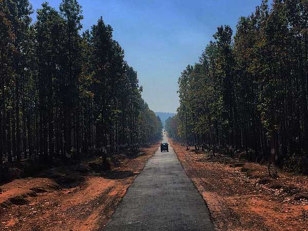 ఈ ర‌హ‌దారిలో వెళుతున్నారా అయితే జ‌ర భద్రం