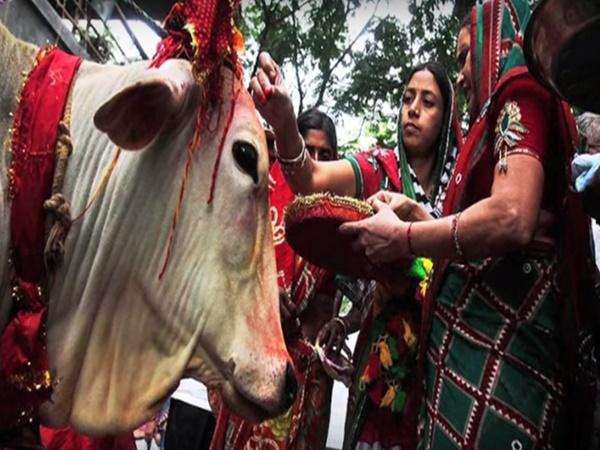 తిరుమ‌ల‌లో మాన‌వుల‌కు సాధ్యంకాని ప‌ని ఆవు చేసిందా?