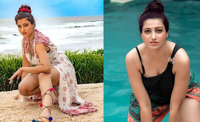 హంస‌పై మ‌ళ్లీ మ‌న‌సుపారేసుకున్నాడు?