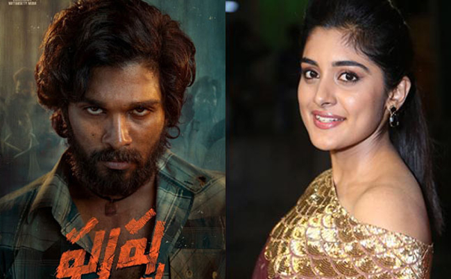 బ‌న్నీ `పుష్ప‌` కోసం మ‌రో స‌ర్‌ప్రైజ్‌!