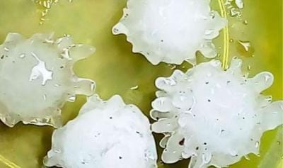 భార‌త్ ని బెంబేలెత్తిస్తోన్న క‌రోనా వ‌డ‌గ‌ళ్లు