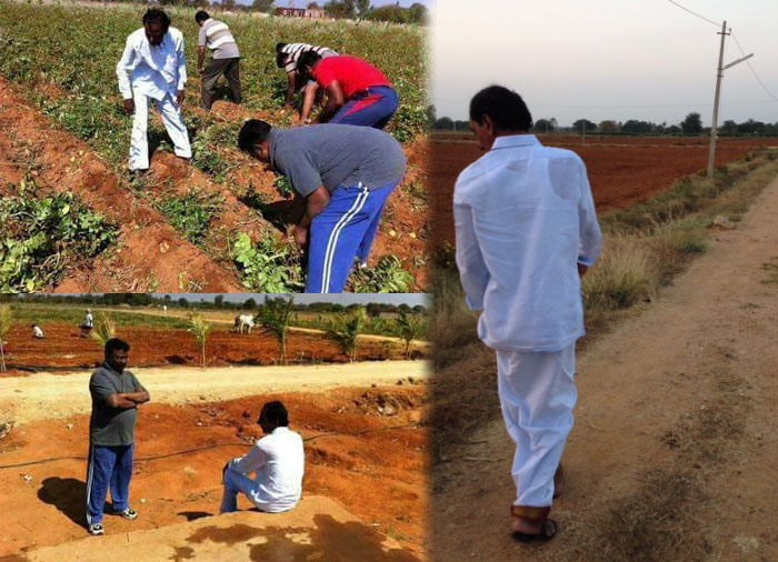 KCR’s Farmhouse secrets to get exposed