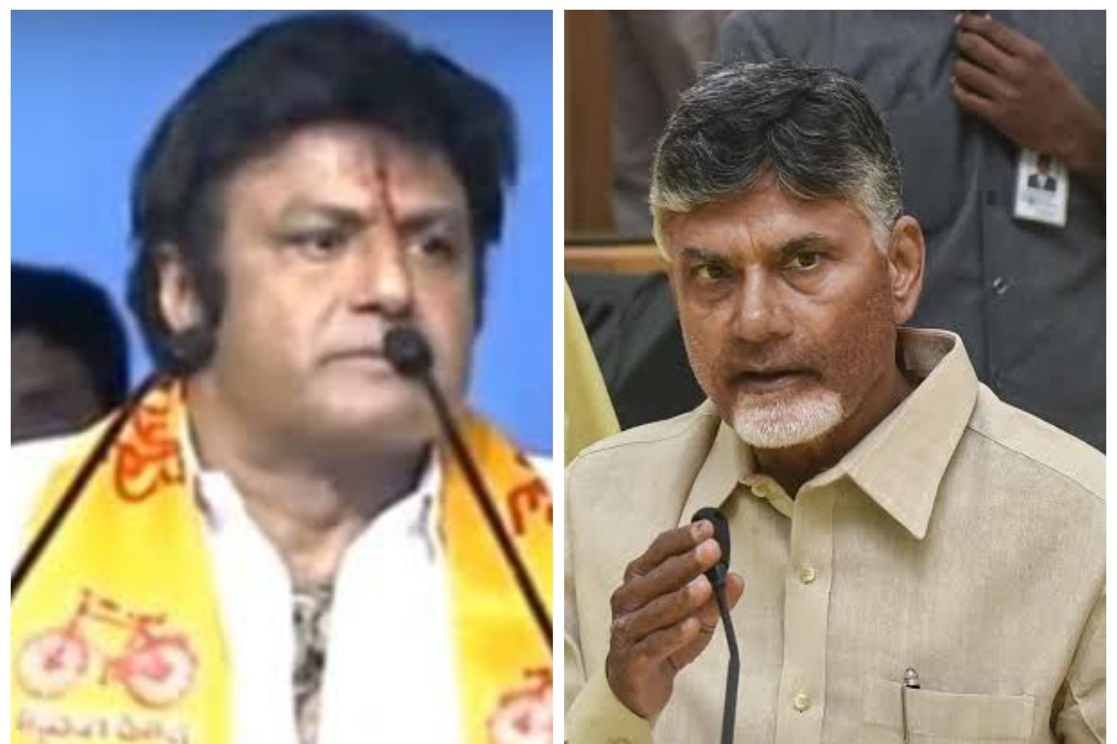 టీడీపీలో బయటపడిన నందమూరి, నారా వర్గ విభేదాలు