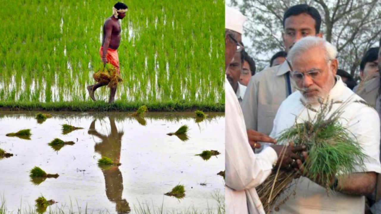 ఒకే దేశం.. ఒకే మార్కెట్.. రైతులకు కేంద్రం కొత్త శాపం 