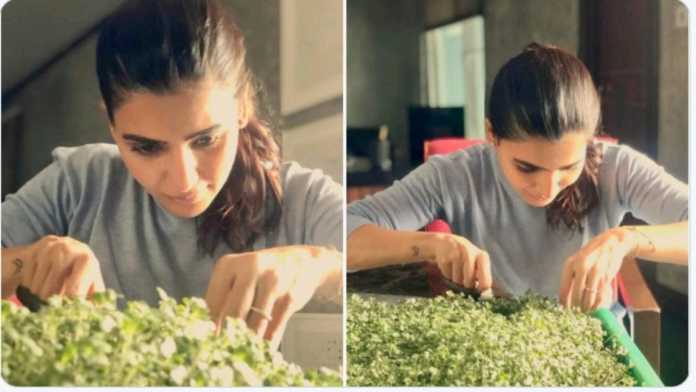 అక్కినేని కోడ‌లు టెర్రాస్ వ్య‌వ‌సాయం చూశారా?