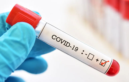 విదేశాలకి వ్యాపిస్తున్న బ్రిటన్ వైరస్ స్ట్రెయిన్ … ఫ్రాన్స్‌లో తొలికేసు నమోదు !