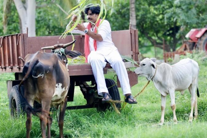 Power Star trailer shows power