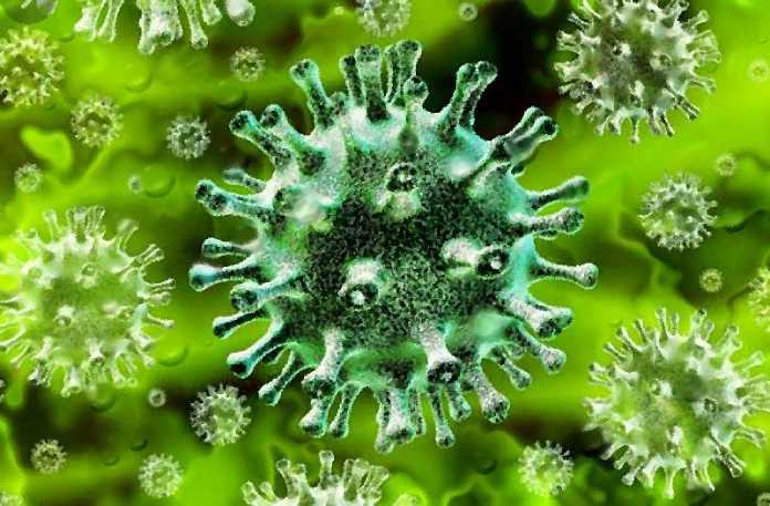 తెలంగాణ లో కరోనా సెకండ్ వేవ్ లేదు !