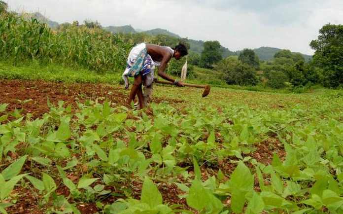 రైతులకు అన్యాయం, అన్యాయం అన్నారు కానీ రైతులే హగ్ చేసుకునే నిర్ణయం తీసుకున్న జగన్