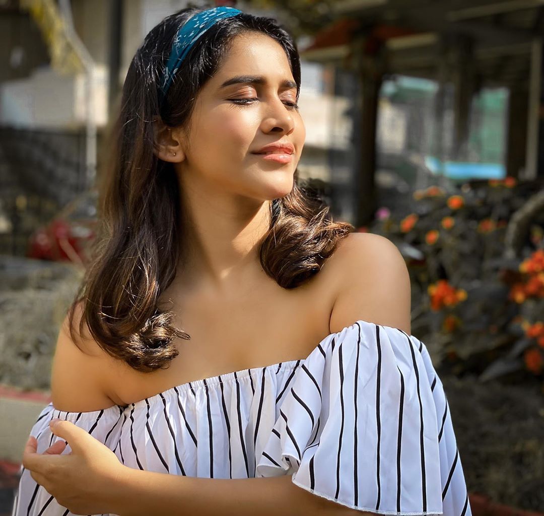 Nabha Natesh Glam Stills