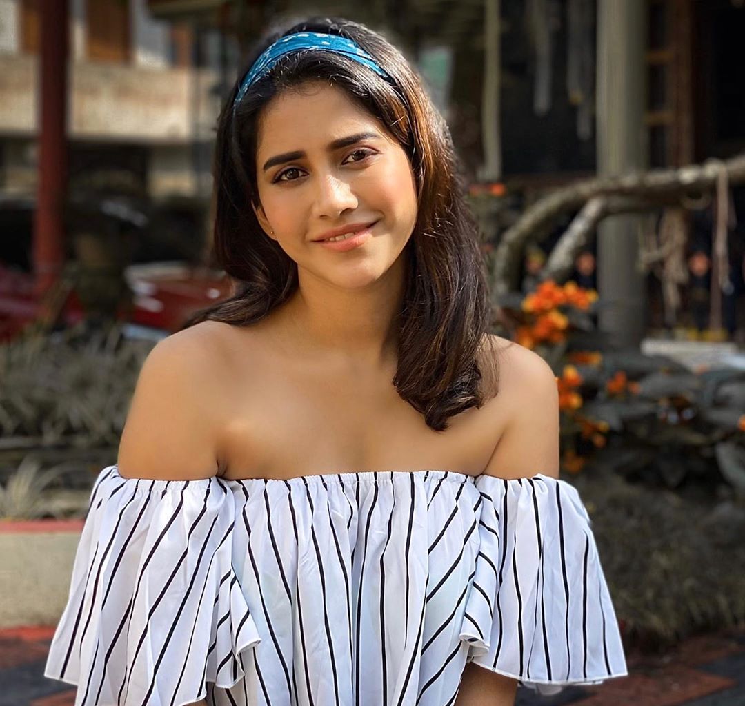 Nabha Natesh Glam Stills (2)