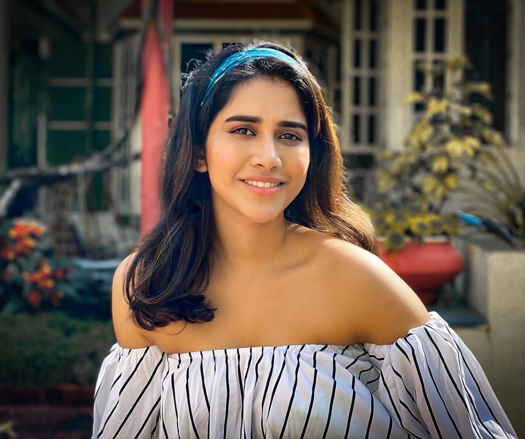 Nabha Natesh Glam Stills