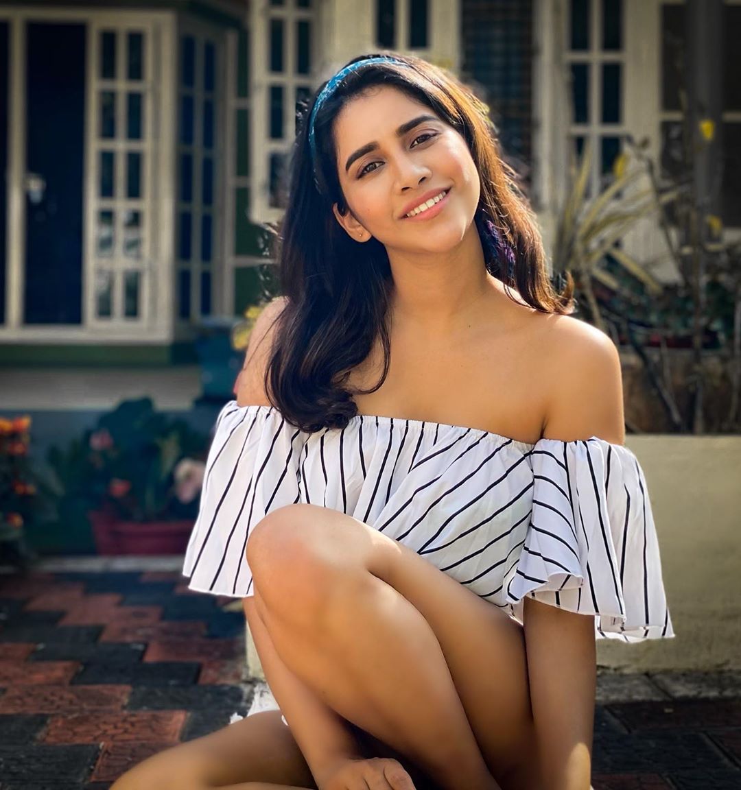 Nabha Natesh Glam Stills