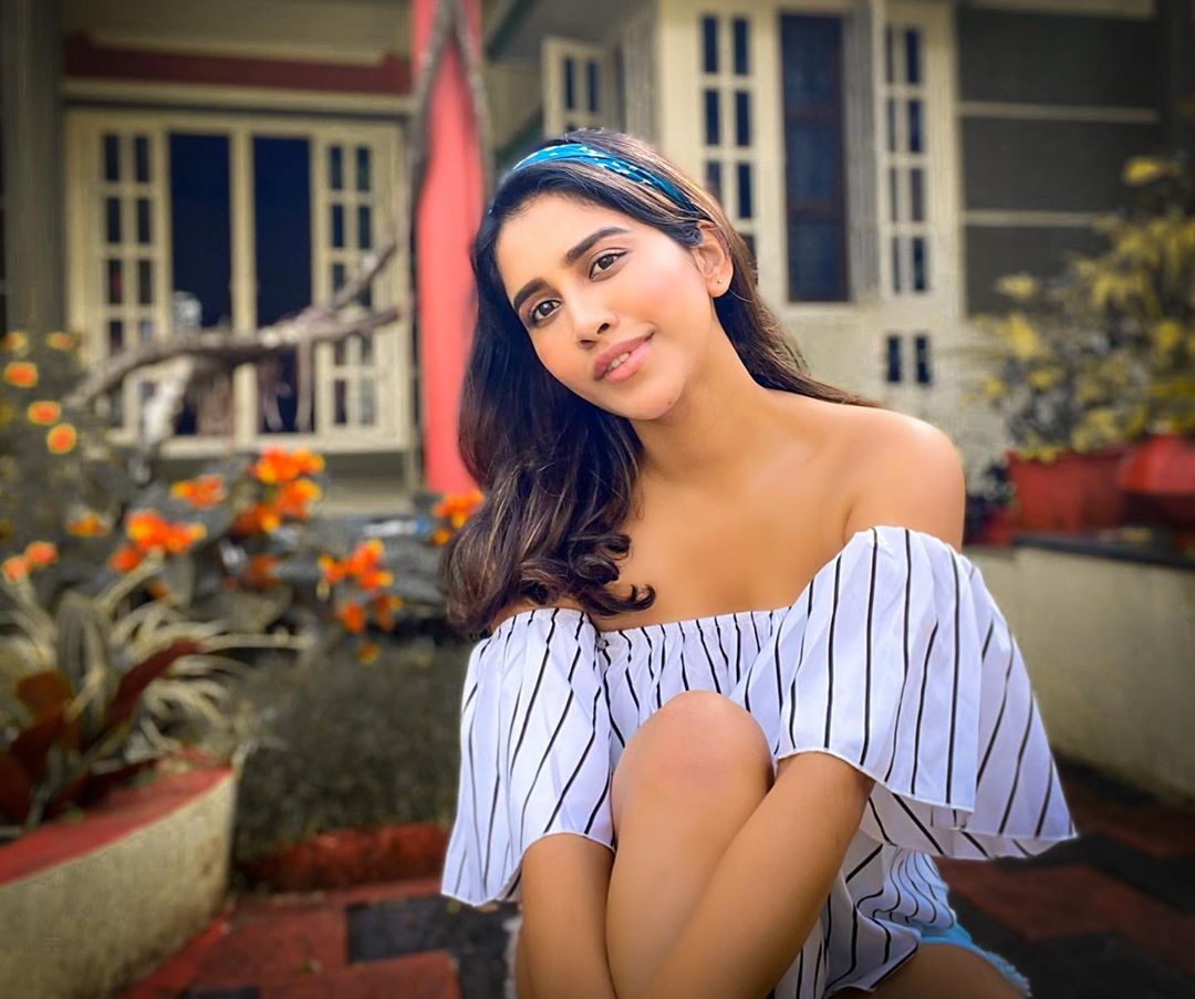 Nabha Natesh Glam Stills