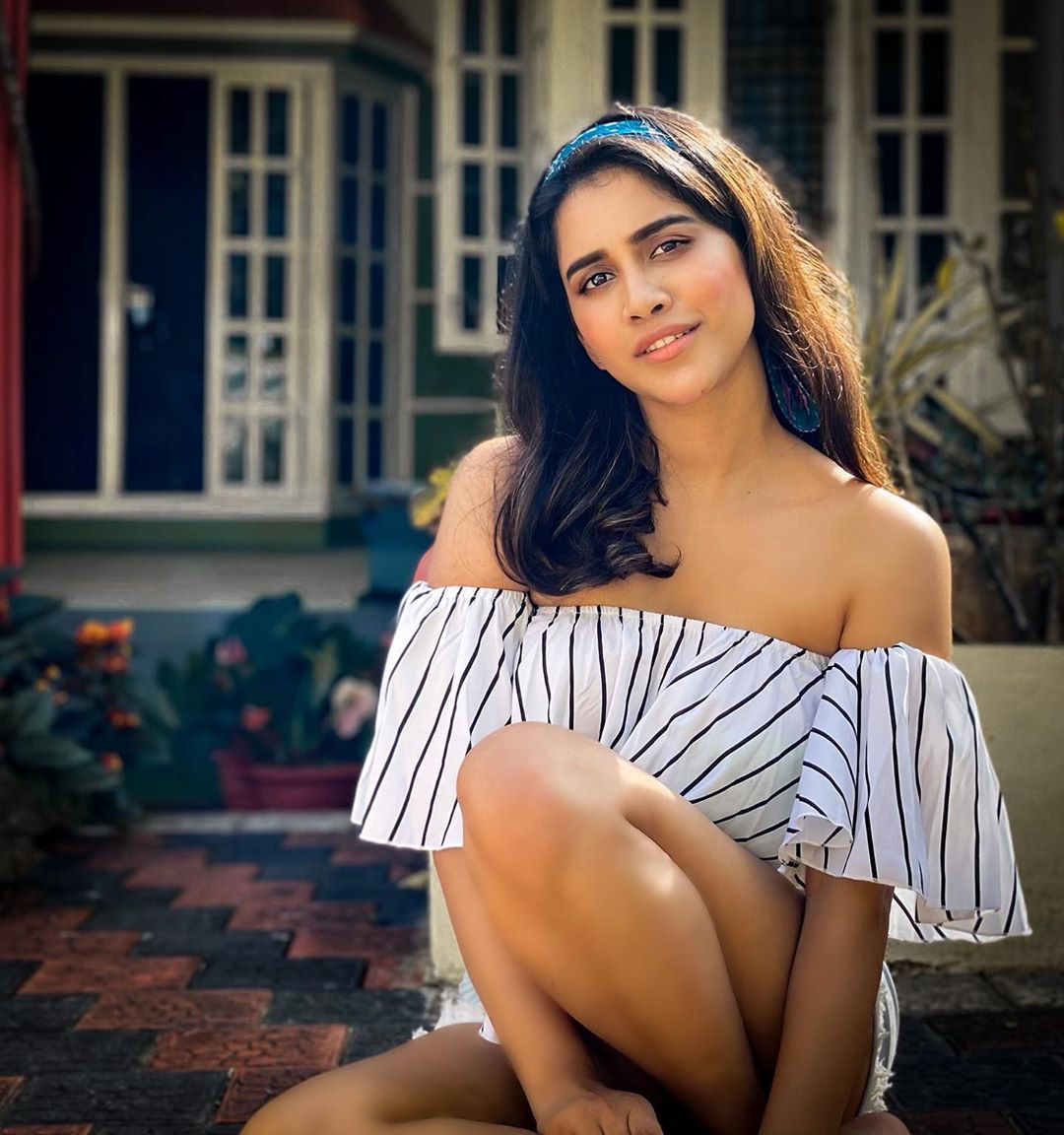 Nabha Natesh Glam Stills