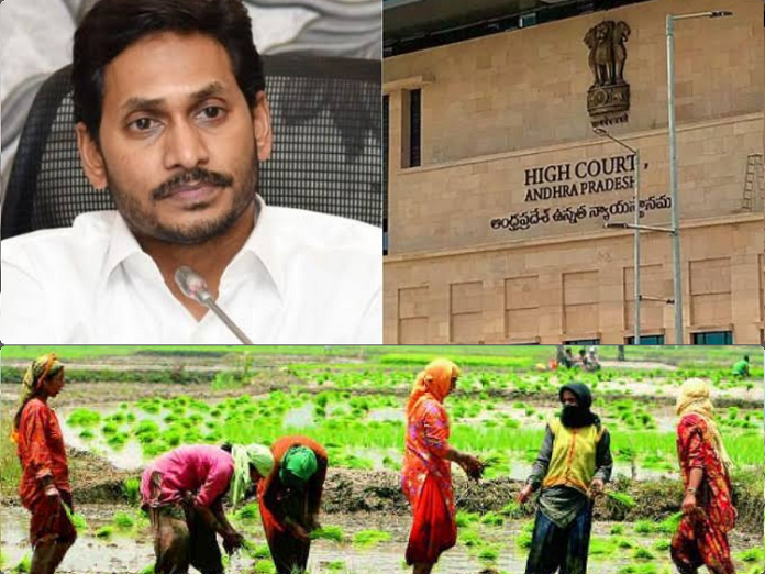 రైతులు కోర్టులో ఈ ప్రశ్నలు అడిగితే జగన్ సర్కార్ ఢమాల్