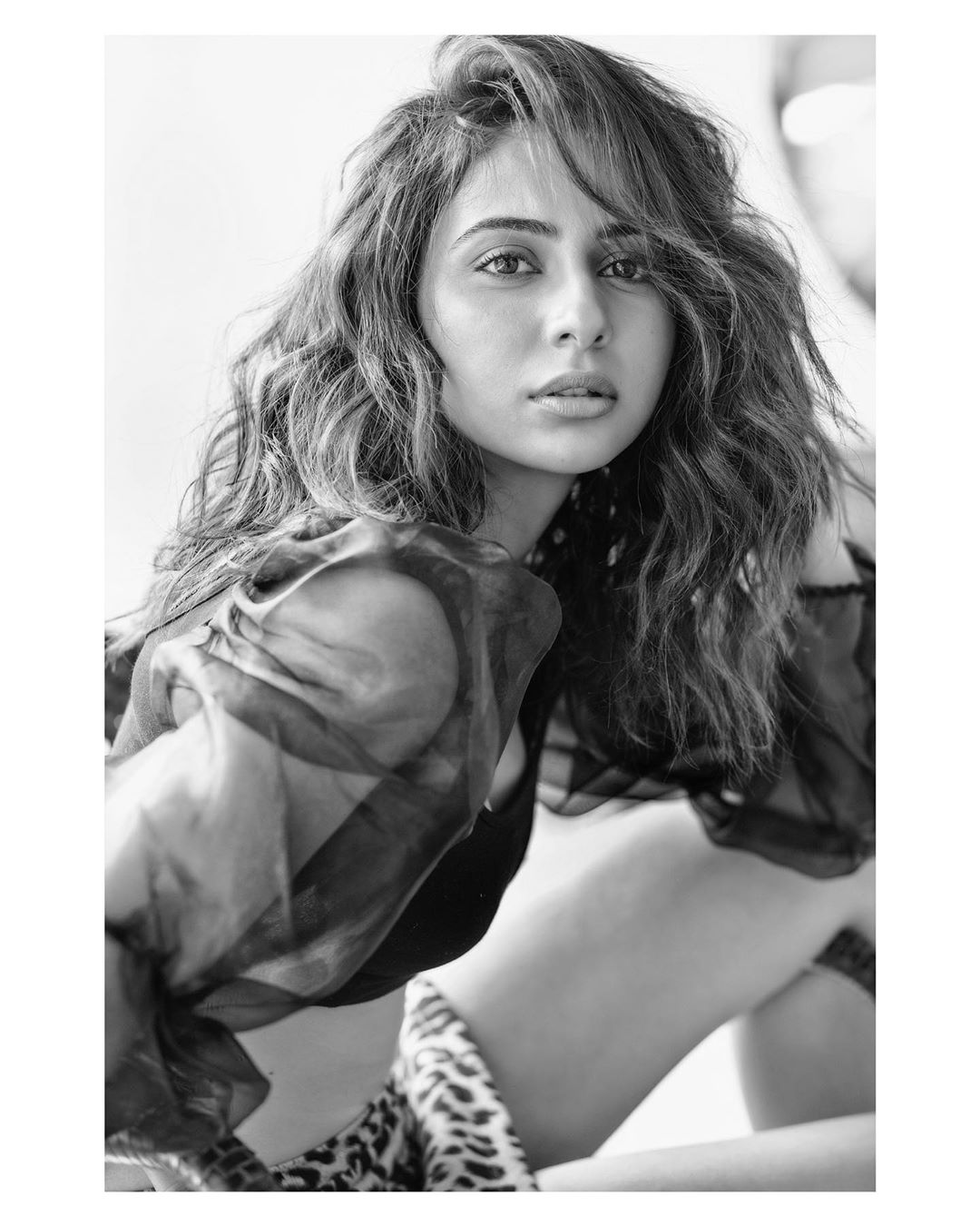 Rakul Preet Singh Photos 