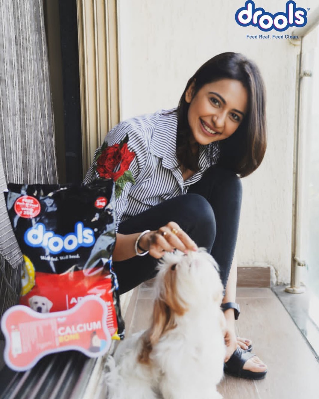 Rakul Preet Singh Photos 