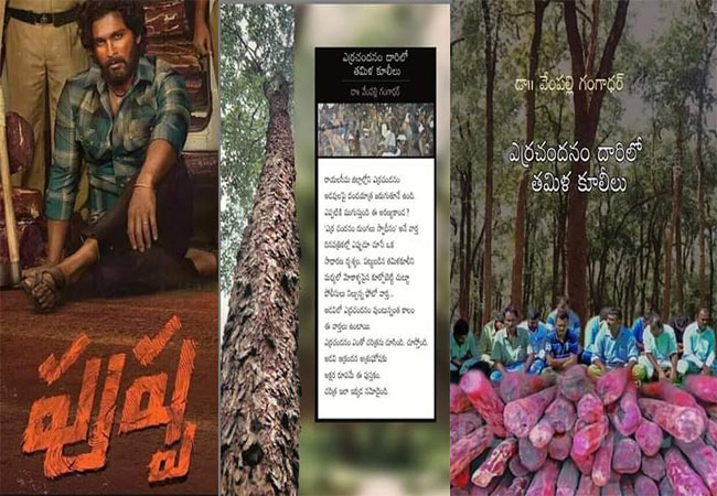 అమ్మ సుకుమార్ నువ్వు కూడా త్రివిక్రమ్ లాగా కాపీనా? అల్లూ అర్జున్ పుష్ప అసలు కథ ఇదిగో..!