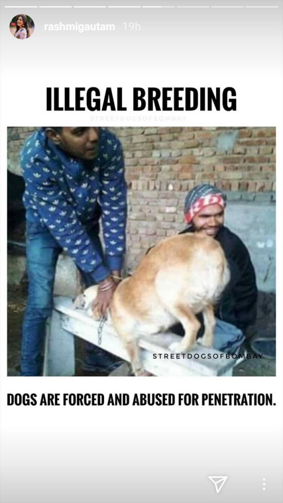 Rashmi Gautam Opposes Illegal Breeding Of Dog