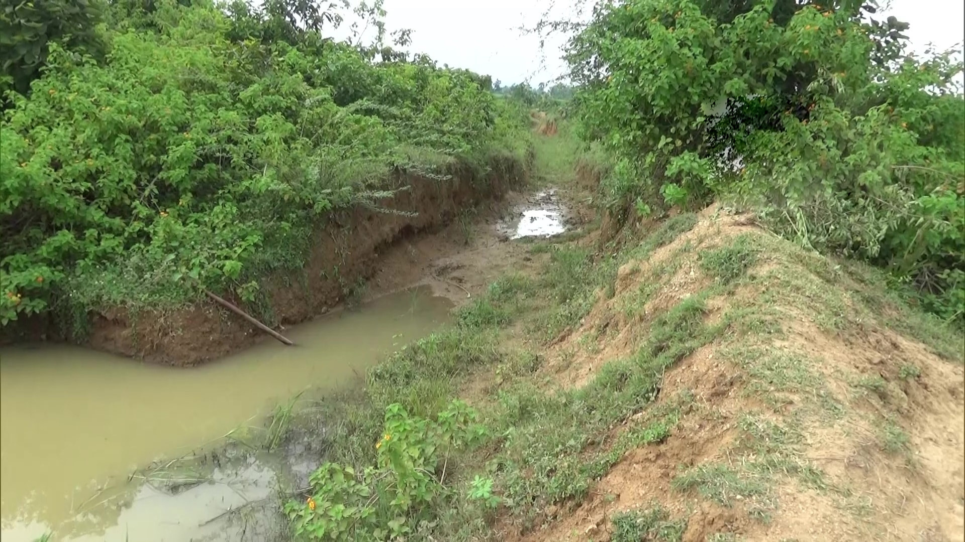 Man in Gaya carves out 3-km-long canal to irrigate parched fields