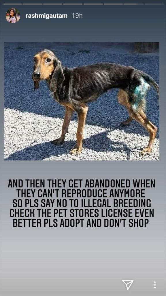 Rashmi Gautam Opposes Illegal Breeding Of Dog