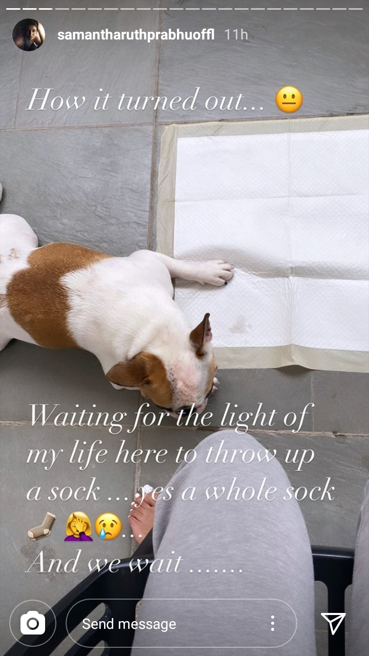 Samantha Akkineni Sunday Planning Is Disappointed