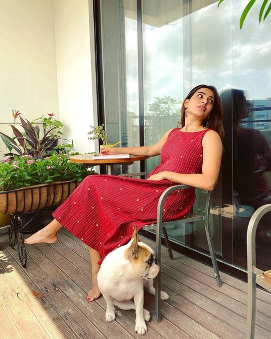 Samantha Akkineni Beauty Queen Stills Samantha Akkineni Beauty Queen Stills