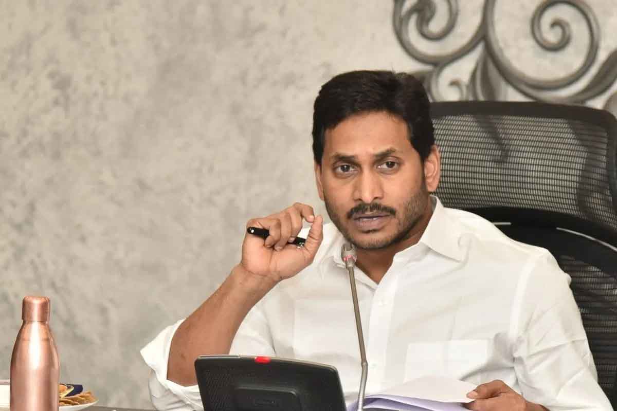 Chandrababu Naidu should do proper plan to raise TDP