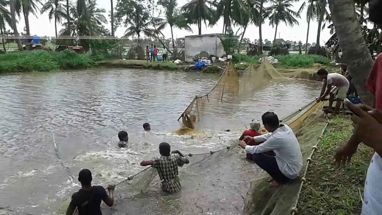YS Jagan special interest on West Godavari district YS Jagan special interest on West Godavari district