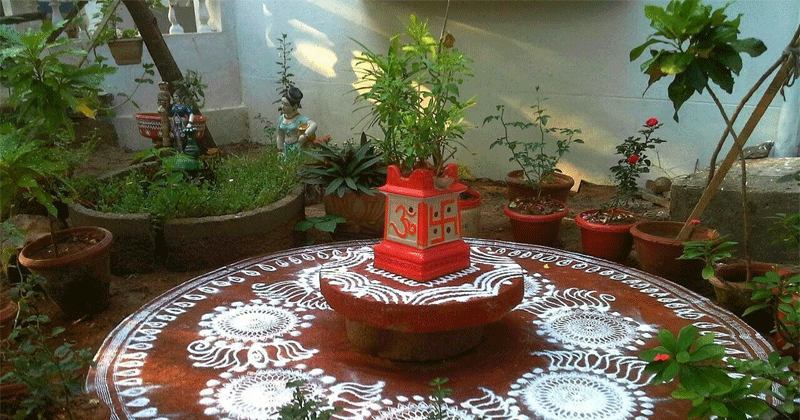 పుణ్య వృక్షాలను ఎలా పూజించాలి?