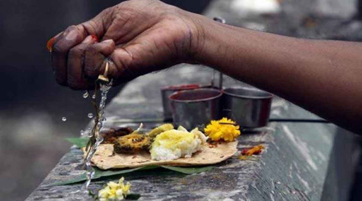 pithru pakshalu can give you good results