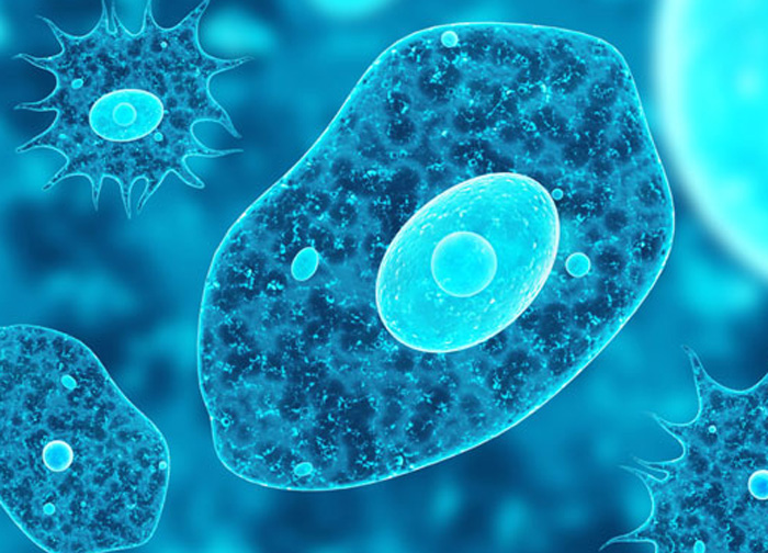 కుళాయి నీటిలో మెదడును తినే అమీబా.. అక్కడ అలర్ట్.. మరో వినాశనం తప్పదా?