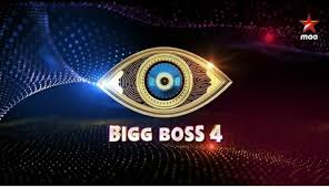 BIGG BOSS 4 : ఆ ముగ్గురి ఎలిమినేషన్ వెనక కారణం ఇదే? బిగ్‌బాస్‌కి అక్కడే కోపమొచ్చింది?