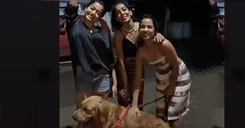 ఒక్క అబ్బాయితో ముగ్గురు అమ్మాయిలు.. అర్ధరాత్రి రష్మిక రచ్చ