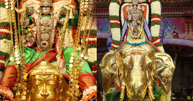 ఆరోరోజు శ్రీవారి సేవలు ఇవే !