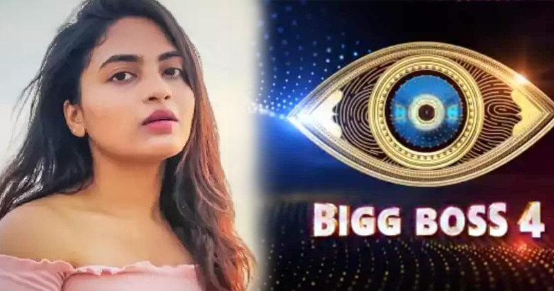 Bigg Boss 4 Telugu dethadi Harika Hot Dance In Task