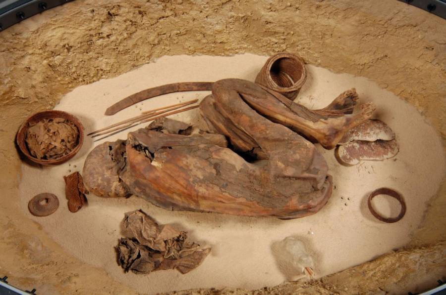 5600 ఏళ్ల క్రితం నాటి మమ్మీని చూశారా? ఇప్పటికీ చెక్కు చెదరలేదు.. చూస్తే దడుసుకోవాల్సిందే..!!