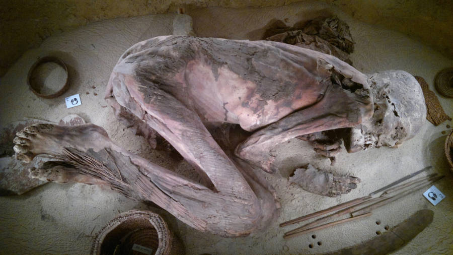 5,600-Year-Old Mummy Reveals Oldest Egyptian Embalming Recipe Ever Found