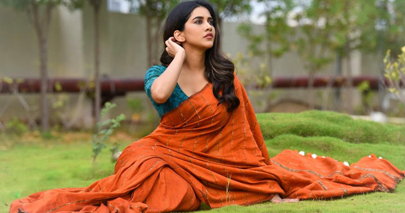 చీరకట్టులో నభా.. అందంతో కట్టిపడేసిందబ్బా!!