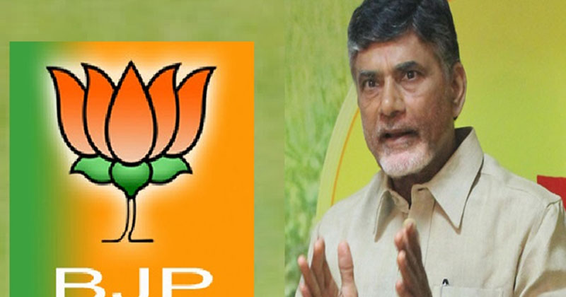 కడుక్కోవడం బీజేపీ పని.. కానీ చంద్రబాబు చేతులు పెట్టి కంపు చేసుకుంటున్నారు ! 