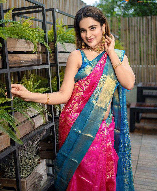 Niddhi Agerwal Cute Saree Pictures Niddhi Agerwal Cute Saree Pictures