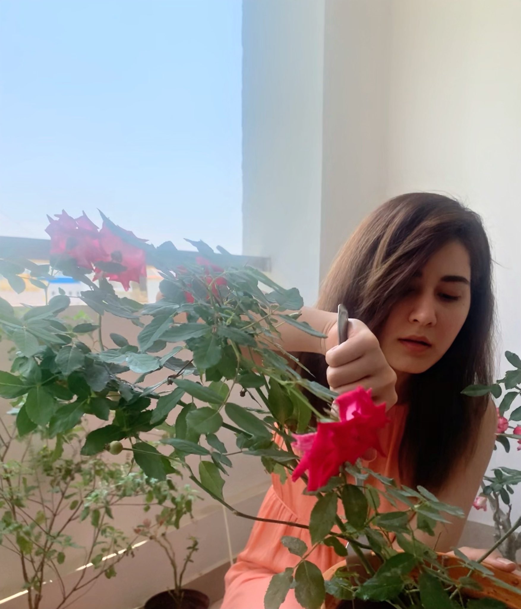 Raashi Khanna Beautiful Images Raashi Khanna Beautiful Images