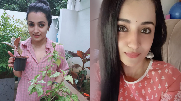Trisha Beautiful Images