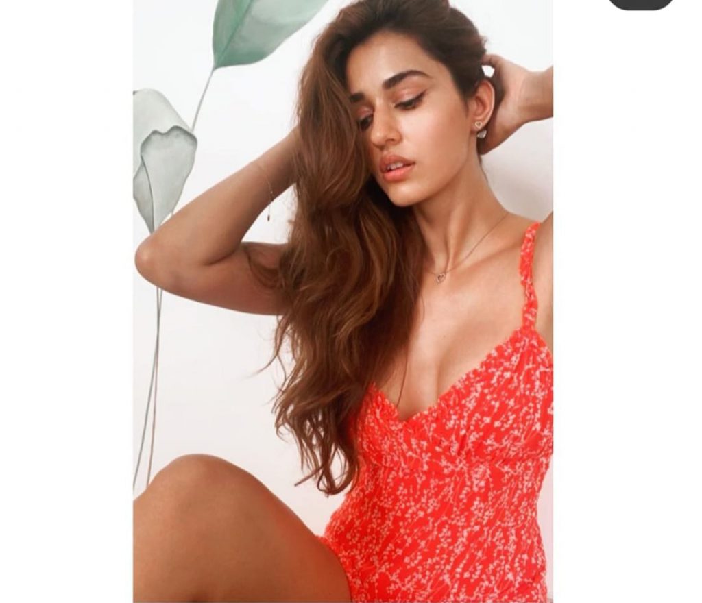 Disha Patani Latest Stills With Her Pets Goes Viral