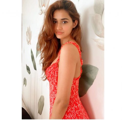 మొత్తం తెరిచిపెట్టేసింది.. క్లీవేజ్ షోతో ‘లోఫర్’ భామ రచ్చ